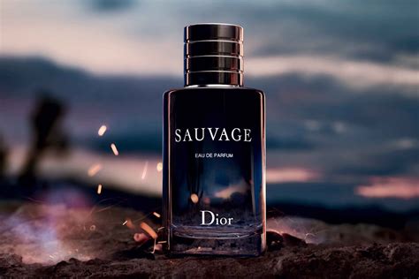 dior sauvage parfyme|dior sauvage best price.